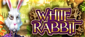 White Rabbit Slot