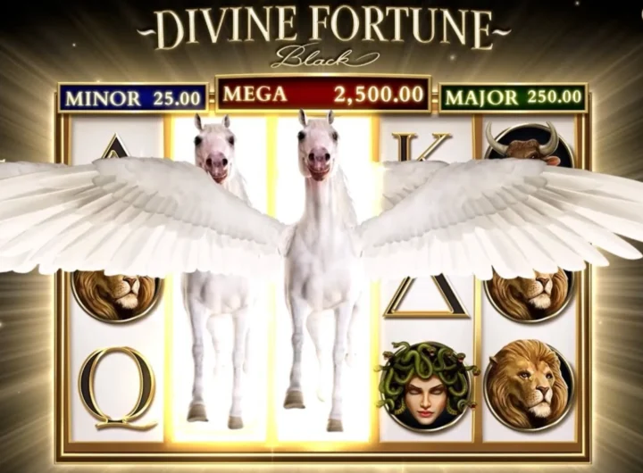 divine fortune black slots