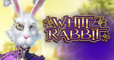 white rabbit