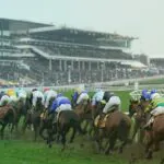 Cheltenham horse race