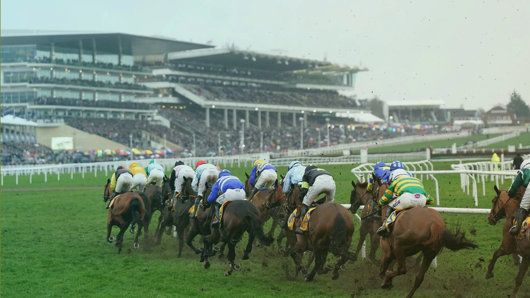 Cheltenham horse race